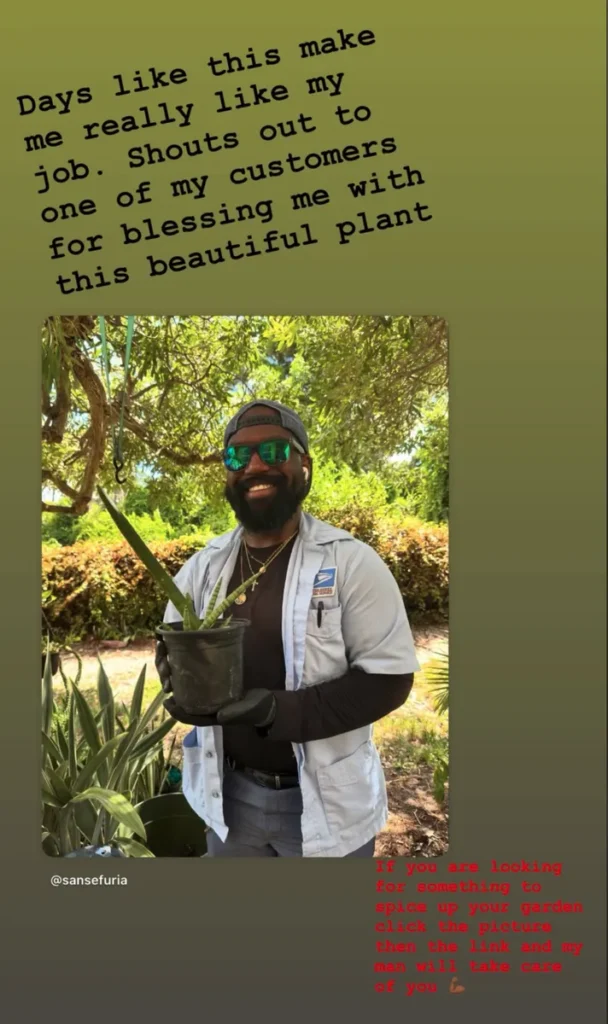 Sansevieria-Cylindrica–Spear-Plant-new-happy-owner