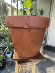 Fractures and Renewal: Embracing Kintsugi (金継ぎ) Mindset