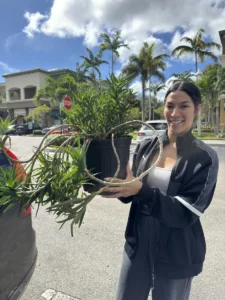 Thank You Dahlia: Love for Sculptural & Architectural Plants