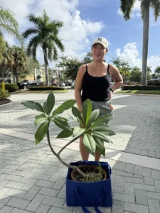 Thank You, Jasmin: Pua Melia