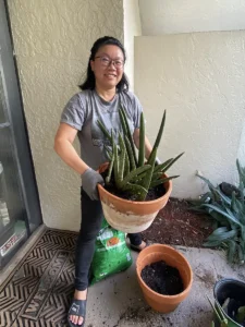 Thank You, Sheng Yuan: Feng Shui Plants in Action