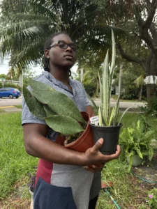 Bartering Plants, Sharing Passion with Nicolette