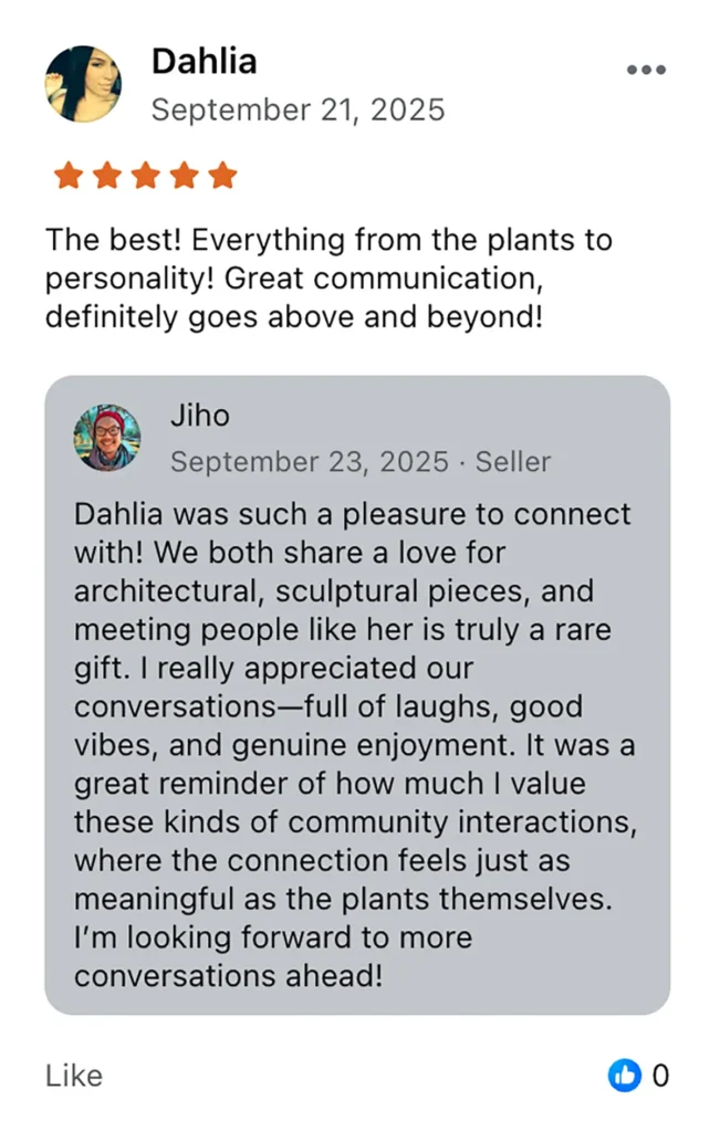 ppl-review-dahlia copy