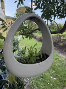 fre00-ceramic-bird-feeder-vessel-IMG_3608