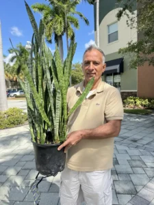 Thank You, G.S.: Black Coral’s New Life