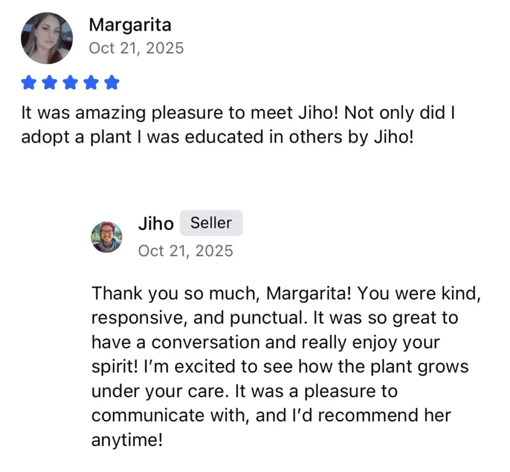 ppl-margarita-review